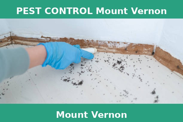 PEST CONTROL Mount Vernon